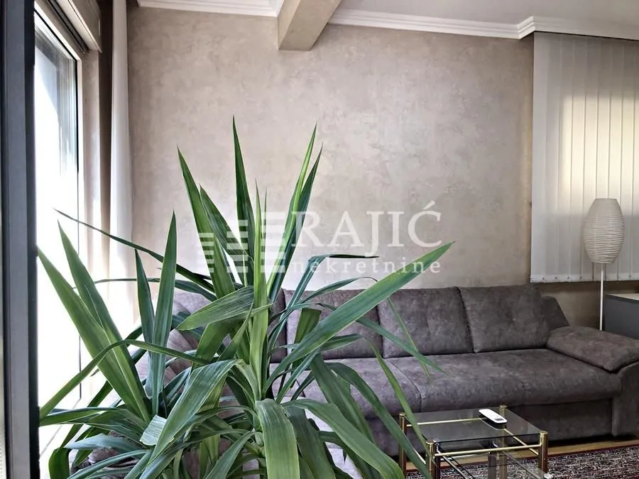 Living room with a sofa and a houseplant.