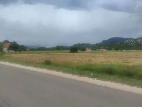 Prodaja, plac, 2000m², Grahovo, Nikšić - image 4