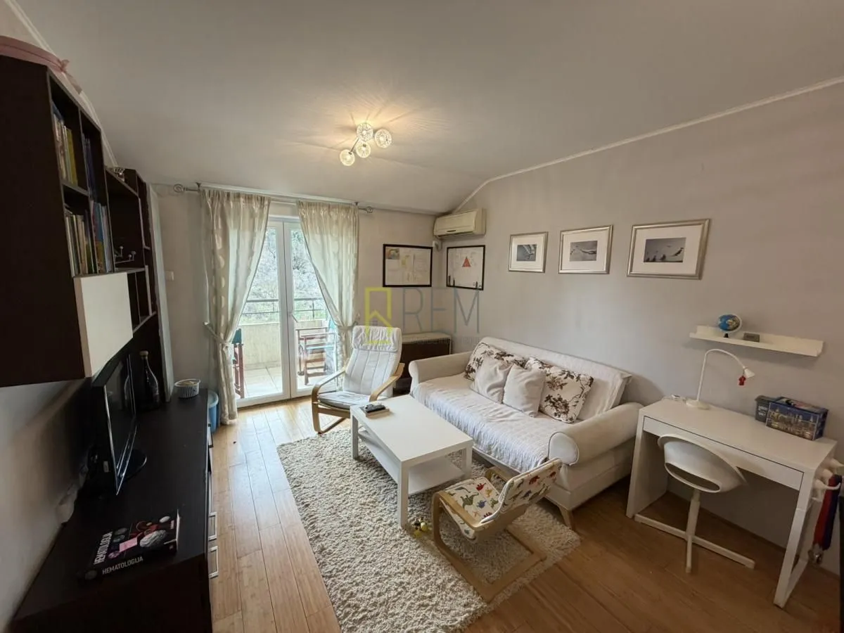 Rent, one bedroom apartment, 43m², Vezirov Most, Podgorica