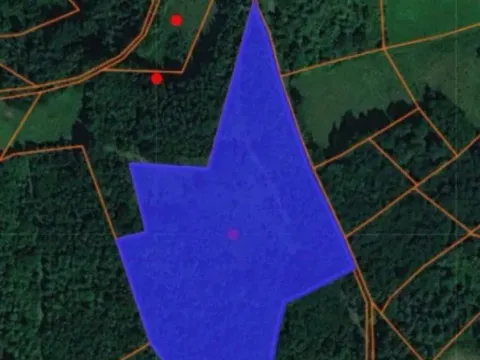 Sale, land lot, 70000m², Trudelj, Gornji Milanovac - image 3