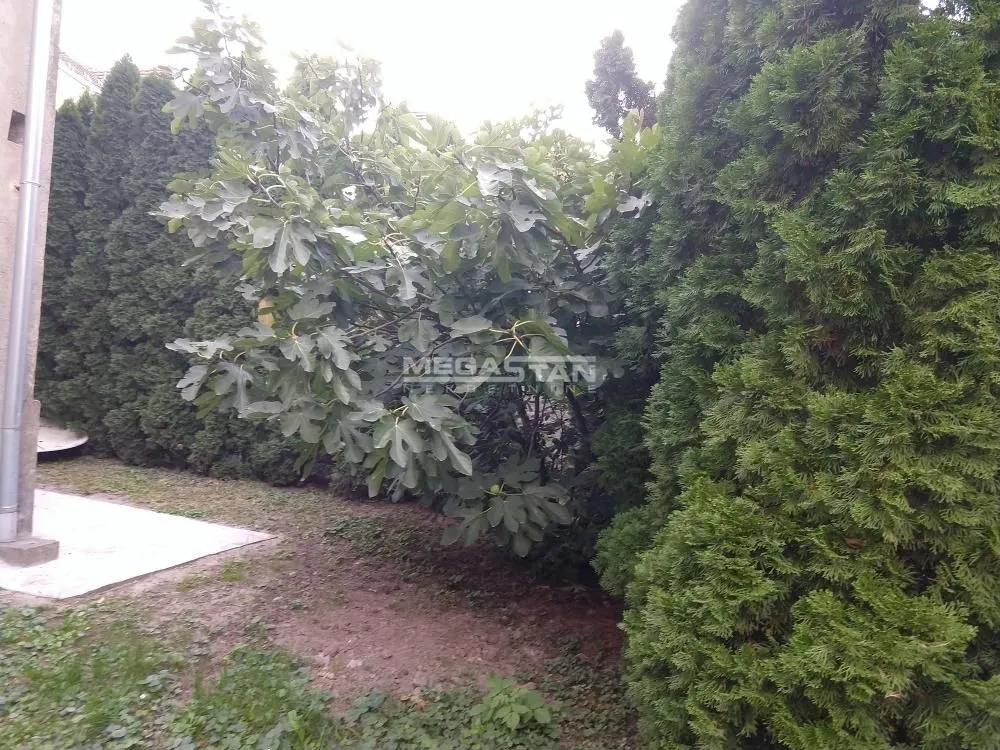 Prodaja, kuća, 200m², Zemun Gardoš, Zemun Sve Podlokacije