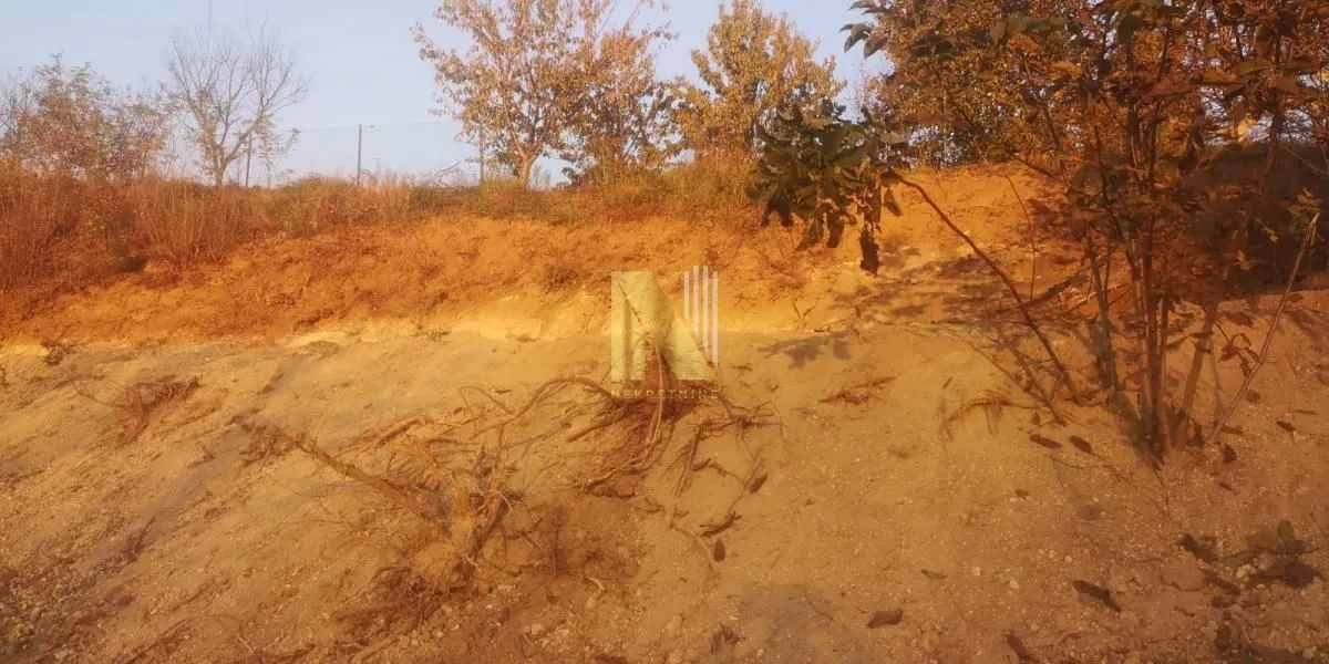 Prodaja, plac, 1200m², Sremska Kamenica, Petrovaradin