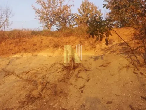 Sale, land lot, 1200m², Sremska Kamenica, Petrovaradin - image 4