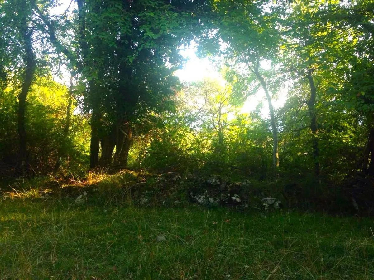 Prodaja, plac, 1200m², Podi, Herceg Novi