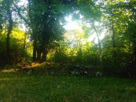 Prodaja, plac, 1200m², Podi, Herceg Novi - image 3