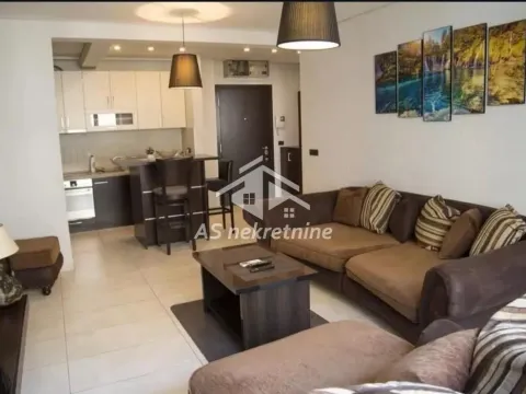 Izdavanje, dvosoban stan, 52m², Vračar Sve Podlokacije, Beograd - image 2