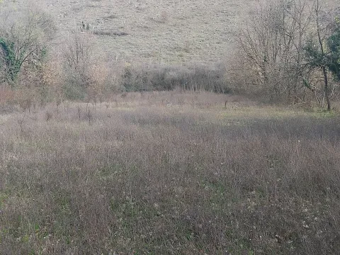 Prodaja, plac, 2400m², Dajbabe, Podgorica - image 7