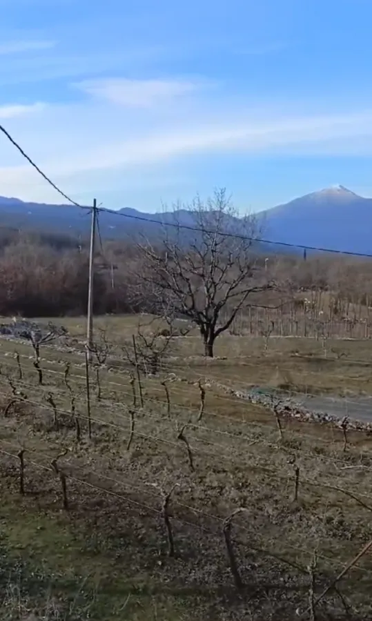 Prodaja, plac, 40000m², Podgorica, Crna Gora