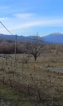 Prodaja, plac, 40000m², Podgorica, Crna Gora - image 2