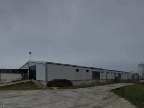 Prodaja, poslovni prostor, 2888m², Urovci, Obrenovac - image 7