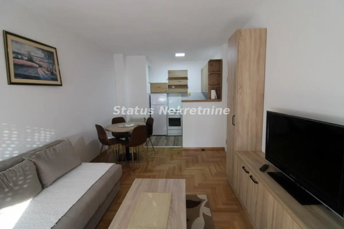 Rent, one bedroom apartment, 45m², Bulevar Oslobodjenja, Novi Sad Sve Podlokacije