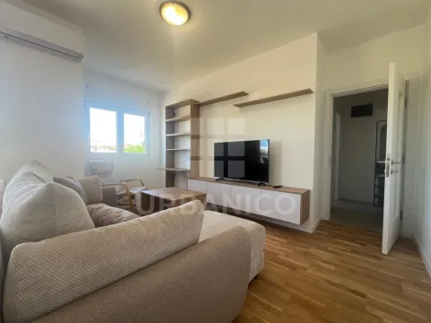 Rent, one bedroom apartment, 47m², Zabjelo, Podgorica - image 1