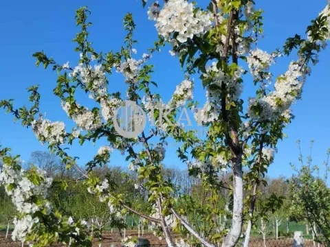 Sale, house, 146m², Velika Ivanča, Mladenovac - image 17