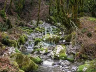 Prodaja, plac, 22391m², Ulica, Kolašin - image 7