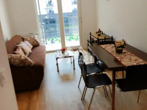 Izdavanje, dvosoban stan, 41m², Novi Sad Sve Podlokacije, Novi Sad - image 2