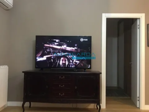 Izdavanje, stan, 46m², Dorćol Sve Podlokacije, Beograd - image 9