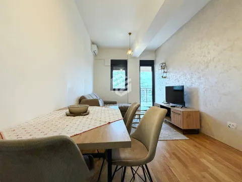 Izdavanje, jednosoban stan, 60m², Zagorič, Podgorica - image 6