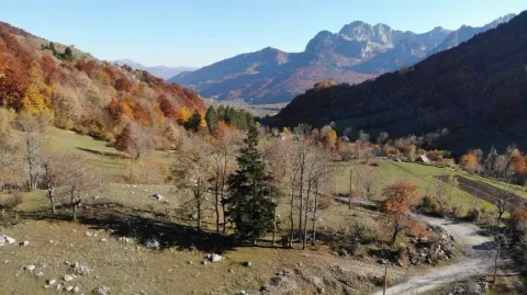 Pogled na planinski predio i prirodu u okolini nekretnine. - image 6