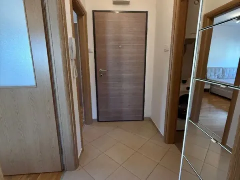 Izdavanje, dvosoban stan, 60m², Ljubović, Podgorica - image 12