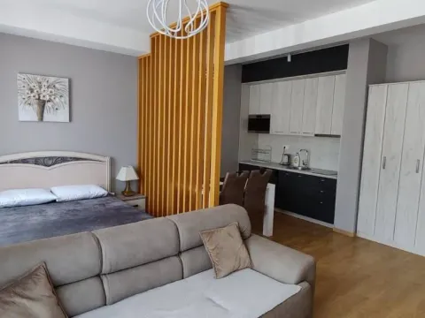 Rent, one bedroom apartment, 55m², Podkošljun, Budva - image 9
