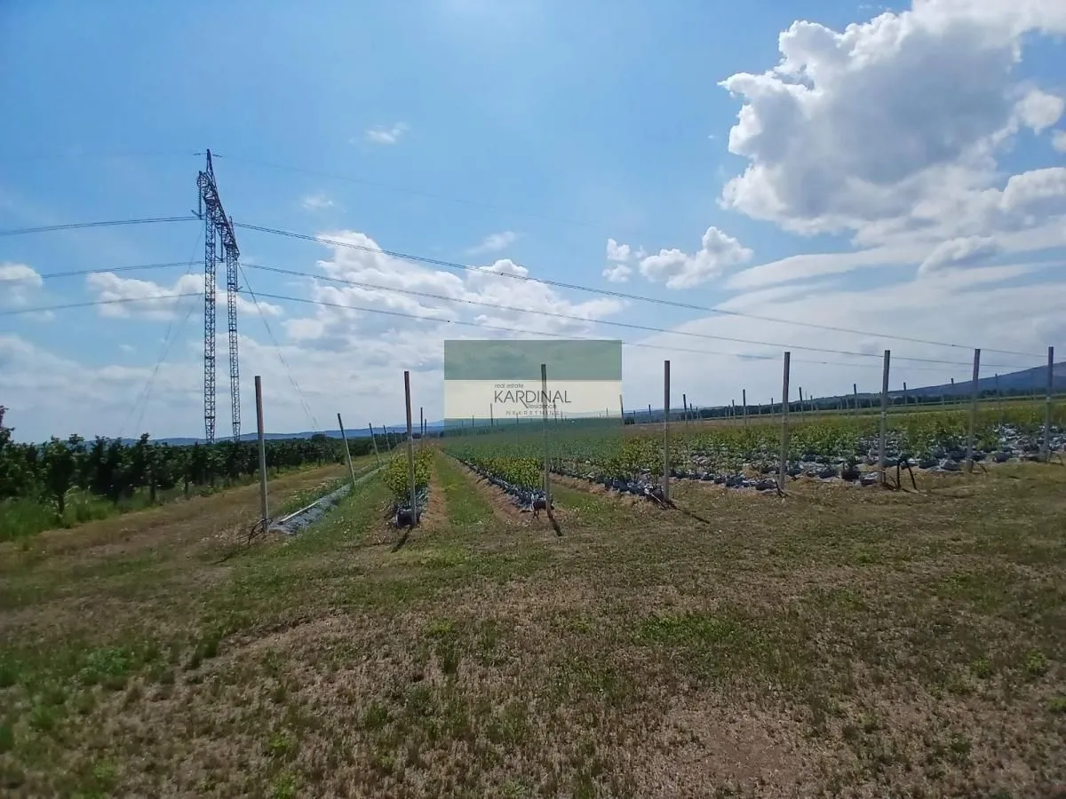 Prodaja, plac, 285100m², Medjureč, Jagodina