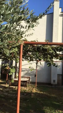 A house yard featuring a seating area under a pergola. - image 12