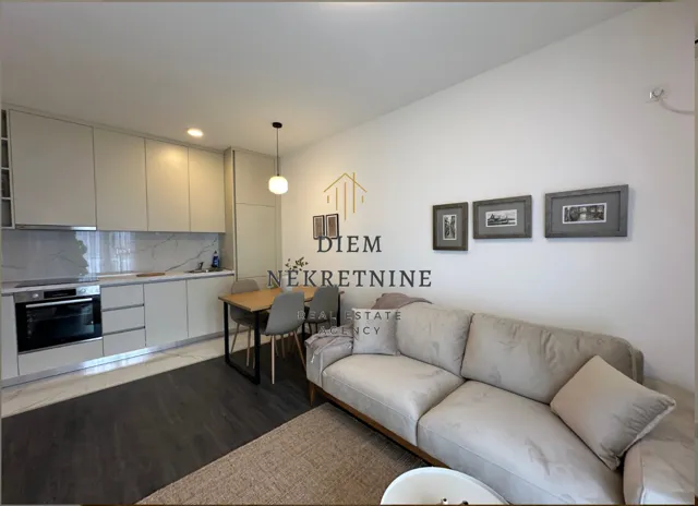 Rent, one bedroom apartment, 35m², Zabjelo, Podgorica