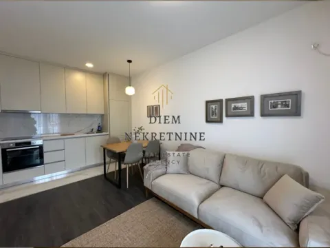 Izdavanje, jednosoban stan, 35m², Zabjelo, Podgorica - image 9