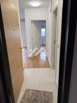 Izdavanje, dvosoban stan, 44m², Novi Sad Sve Podlokacije, Novi Sad - image 5