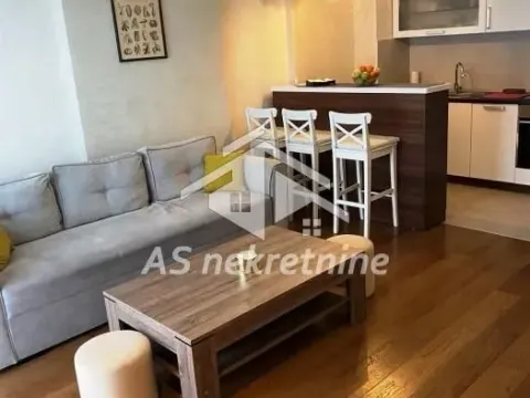 Izdavanje, trosoban stan, 56m², Južni Bulevar, Vračar Sve Podlokacije - image 6