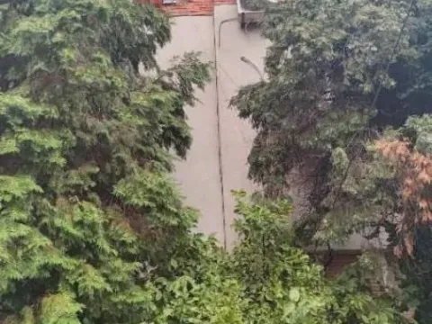 Prodaja, kuća, 280m², Bulbulder, Zvezdara Sve Podlokacije - image 9