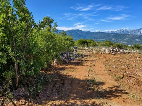 Pogled na plac sa zelenilom i planinama u pozadini. - image 4