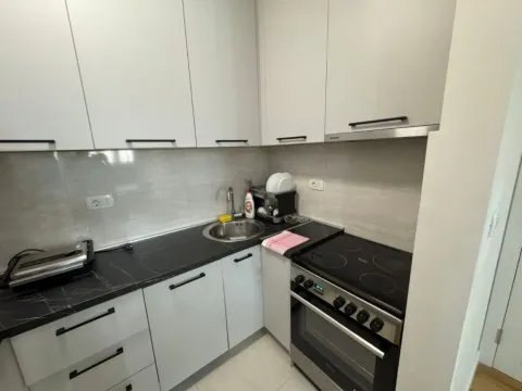 Izdavanje, jednosoban stan, 47m², Central Point, Podgorica - image 5