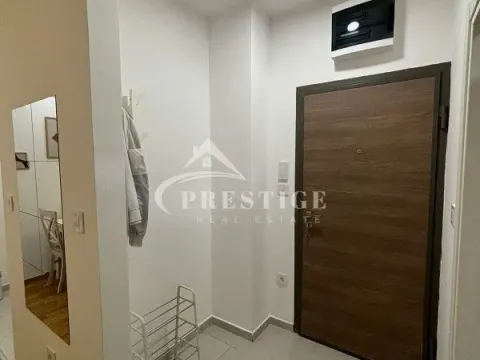 Izdavanje, jednosoban stan, 40m², Zabjelo, Podgorica - image 7