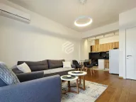 Izdavanje, jednosoban stan, 59m², Centar, Podgorica - image 3