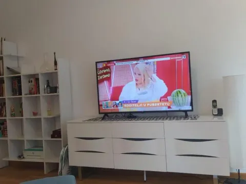 Izdavanje, dvosoban stan, 55m², Novi Beograd Blok 65, Novi Beograd Sve Podlokacije - image 4