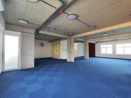 Izdavanje, poslovni prostor, 700m², Zabjelo, Podgorica - image 11