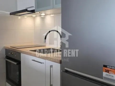 Izdavanje, stan, 26m², Zvezdara Sve Podlokacije, Beograd - image 4