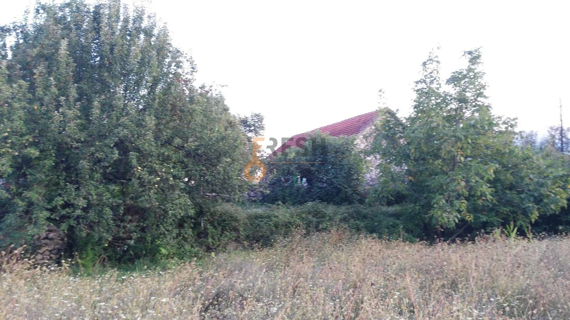 Prodaja, plac, 28000m², Danilovgrad, Crna Gora