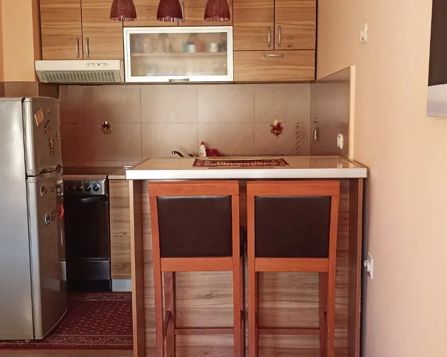 Rent, one bedroom apartment, 32m², Vezirov Most, Podgorica