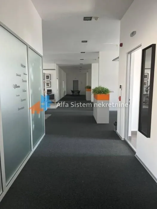 Izdavanje, poslovni prostor, 360m², Stari Grad, Beograd