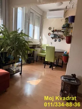 Dnevna soba sa trpezarijskim stolom, klima uređajem i puno sobnog bilja. - image 10