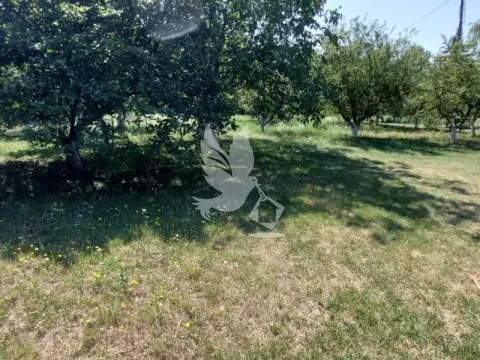 Prodaja, kuća, 150m², Pružatovac, Mladenovac - image 3