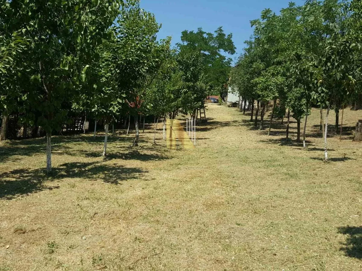 Prodaja, kuća, 65m², Čortanovci, Inđija