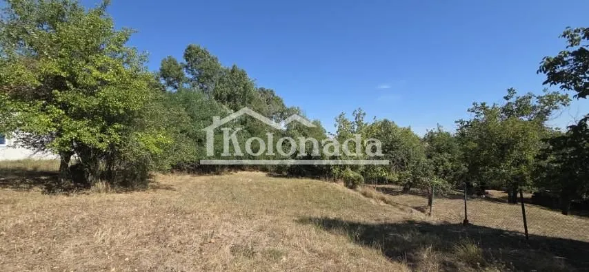 Zeleno dvorište sa stablima i travnjakom.