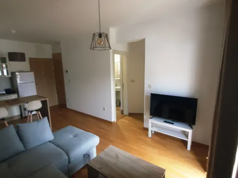 Rent, one bedroom apartment, 36m², Babin Do, Budva - image 7