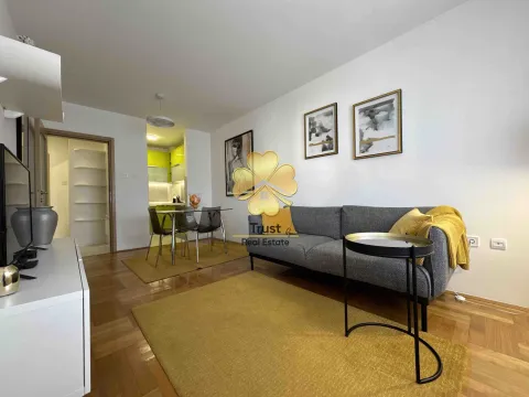 Izdavanje, jednosoban stan, 45m², Preko Morače, Podgorica - image 2