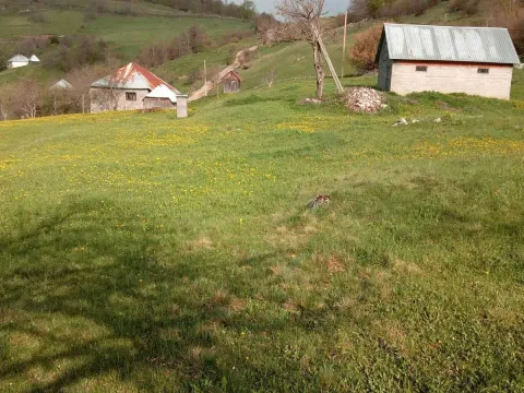 Prodaja, kuća, 199m², Bijelo Polje, Crna Gora - image 8