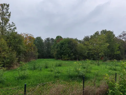 Prodaja, plac, 33900m², Velika Ivanča, Mladenovac - image 4