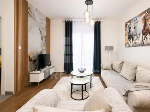 Izdavanje, jednosoban stan, 56m², 1 maj, Podgorica - image 1